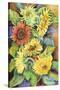 A Variety of Sunflowers-Joanne Porter-Stretched Canvas