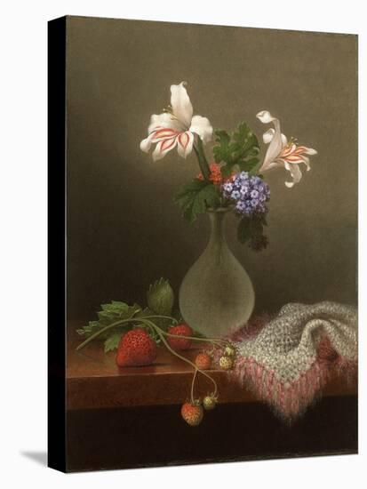 A Vase of Corn Lilies and Heliotrope, 1863-Martin Johnson Heade-Stretched Canvas