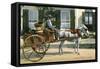 A Vegetable Dealer, Bermuda, C1900s-null-Framed Stretched Canvas