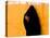 A Veiled Woman Carries Her Child Through the Streets of Erfoud-null-Stretched Canvas
