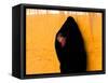 A Veiled Woman Carries Her Child Through the Streets of Erfoud-null-Framed Stretched Canvas