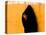 A Veiled Woman Carries Her Child Through the Streets of Erfoud-null-Stretched Canvas