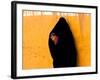 A Veiled Woman Carries Her Child Through the Streets of Erfoud-null-Framed Photographic Print