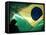 A Vendor Walks Behind a Big Brazilian Flag-null-Framed Stretched Canvas