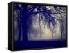 A Very Foggy Day in the Park-graphicphoto-Framed Stretched Canvas