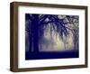 A Very Foggy Day in the Park-graphicphoto-Framed Photographic Print