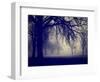 A Very Foggy Day in the Park-graphicphoto-Framed Photographic Print