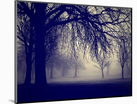 A Very Foggy Day in the Park-graphicphoto-Mounted Photographic Print