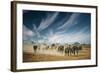 A very long thinking-Mathilde Guillemot-Framed Photographic Print