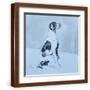 Brown Frame