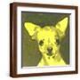 Brown Frame