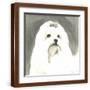 Brown Frame