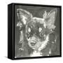 A Very Neutral Modern Dog XI-null-Framed Stretched Canvas