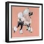 A Very Pop Modern Dog II-null-Framed Art Print