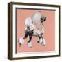 A Very Pop Modern Dog II-null-Framed Art Print