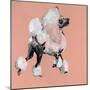 A Very Pop Modern Dog II-null-Mounted Art Print