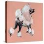 A Very Pop Modern Dog II-null-Stretched Canvas