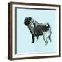A Very Pop Modern Dog VIII-null-Framed Art Print