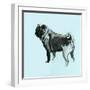 A Very Pop Modern Dog VIII-null-Framed Art Print