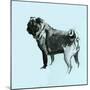 A Very Pop Modern Dog VIII-null-Mounted Art Print