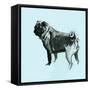 A Very Pop Modern Dog VIII-null-Framed Stretched Canvas