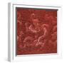 A Very Rare Imperial Cinnabar Lacquer Nine-Dragon Portable Tea-Ceremony Chest (Detail)-null-Framed Giclee Print