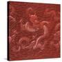 A Very Rare Imperial Cinnabar Lacquer Nine-Dragon Portable Tea-Ceremony Chest (Detail)-null-Stretched Canvas