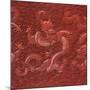 A Very Rare Imperial Cinnabar Lacquer Nine-Dragon Portable Tea-Ceremony Chest (Detail)-null-Mounted Giclee Print