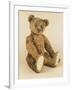 A Very Rare Large Cinnamon Bear, 1907-Steiff-Framed Giclee Print
