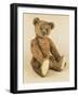 A Very Rare Large Cinnamon Bear, 1907-Steiff-Framed Giclee Print