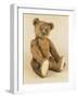 A Very Rare Large Cinnamon Bear, 1907-Steiff-Framed Giclee Print