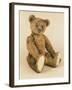 A Very Rare Large Cinnamon Bear, 1907-Steiff-Framed Giclee Print