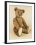 A Very Rare Large Cinnamon Bear, 1907-Steiff-Framed Giclee Print