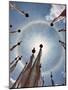 A Very Unusual Full Circle Rainbow Phenomenon Surrounded by Lungdhar Buddhist Prayer Flags-Nigel Pavitt-Mounted Photographic Print