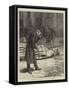 A Veteran of the Empire at the Place Vendome-Charles Green-Framed Stretched Canvas