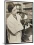 A Veterinary Surgeon Holding a Cat at the Cat's Hospital, Hampstead, London-null-Mounted Photographic Print