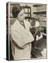 A Veterinary Surgeon Holding a Cat at the Cat's Hospital, Hampstead, London-null-Stretched Canvas