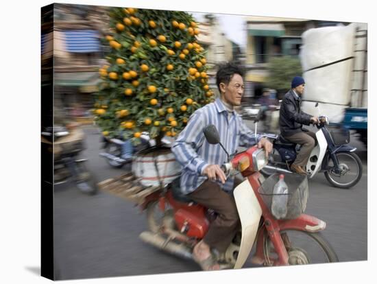 A Vietnamese Vendor Races Down a Street on a Motorbike Carrying a Kumquat Tree for Sale-null-Stretched Canvas