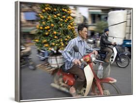 A Vietnamese Vendor Races Down a Street on a Motorbike Carrying a Kumquat Tree for Sale-null-Framed Photographic Print