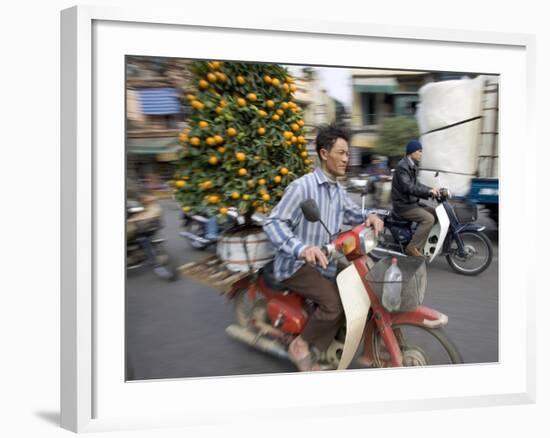 A Vietnamese Vendor Races Down a Street on a Motorbike Carrying a Kumquat Tree for Sale-null-Framed Photographic Print