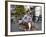 A Vietnamese Vendor Races Down a Street on a Motorbike Carrying a Kumquat Tree for Sale-null-Framed Photographic Print