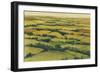 A View Above I-Tim OToole-Framed Art Print