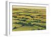 A View Above I-Tim OToole-Framed Art Print