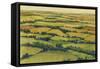 A View Above I-Tim OToole-Framed Stretched Canvas