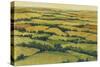 A View Above I-Tim OToole-Stretched Canvas