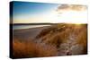 A View from a High Point over Heather and Fields in England-Will Wilkinson-Stretched Canvas