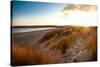 A View from a High Point over Heather and Fields in England-Will Wilkinson-Stretched Canvas