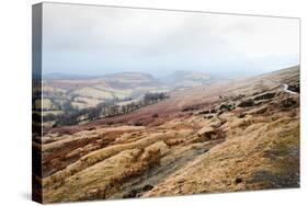 A View from a High Point over Heather and Fields in England-Will Wilkinson-Stretched Canvas