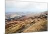 A View from a High Point over Heather and Fields in England-Will Wilkinson-Mounted Photographic Print