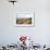 A View from a High Point over Heather and Fields in England-Will Wilkinson-Framed Photographic Print displayed on a wall